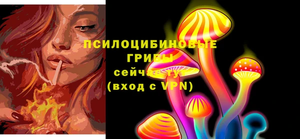бошки Алексин