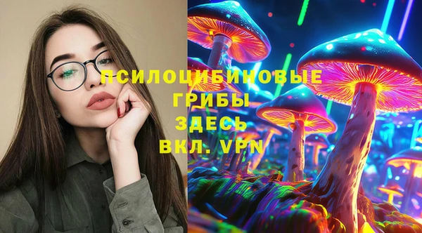 бутират Алексеевка
