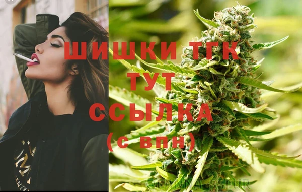 сатива Армянск