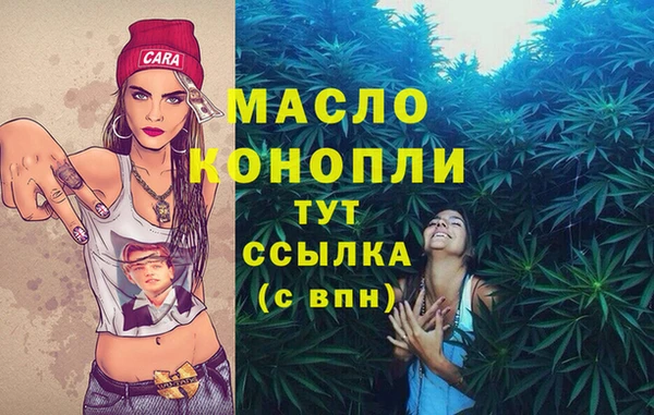 сатива Армянск