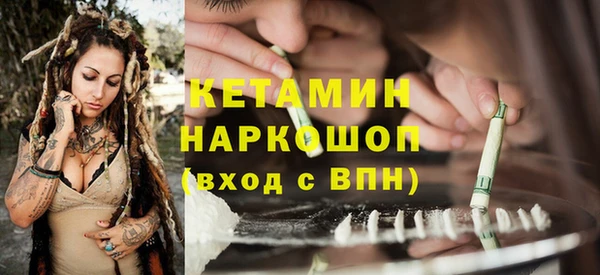 сатива Армянск