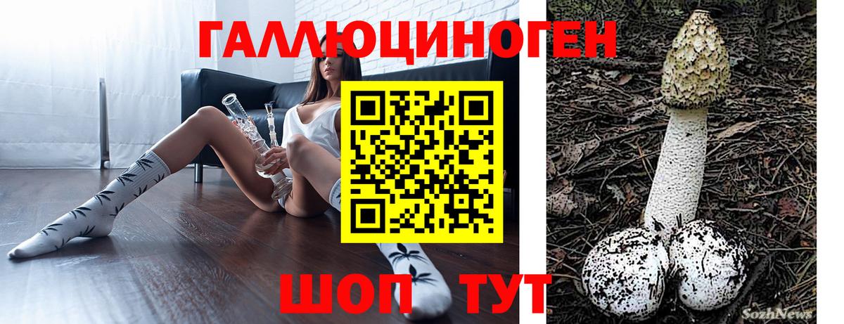 купить   Псилоцибиновые грибы мицелий  Вход с VPN  Саров 